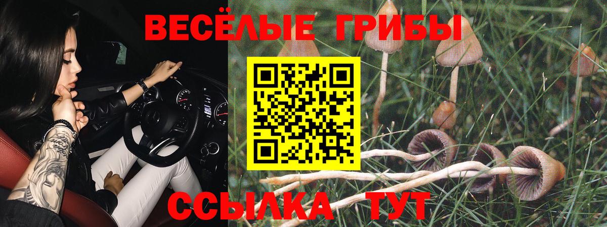 Севастополь  Псилоцибиновые грибы MAGIC MUSHROOMS  Вход с VPN 